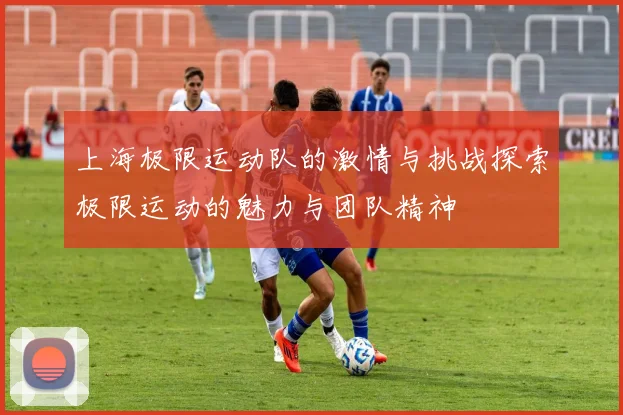 上海极限运动队的激情与挑战探索极限运动的魅力与团队精神