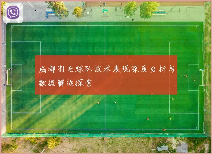 成都羽毛球队技术表现深度分析与数据解读探索