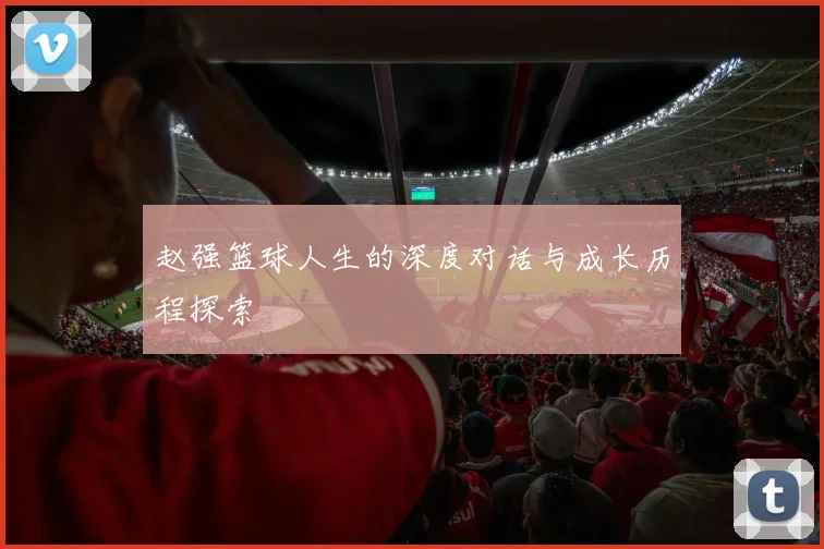 赵强篮球人生的深度对话与成长历程探索